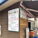 땅끝하나가든 | 46개월 아기랑 주말 한나절 순삭한 파주 퍼스트가든