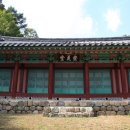 충신의사단비 이미지