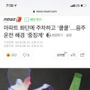 아파트 화단에 주차하고 '쿨쿨'…음주운전 해경 '중징계' 이미지