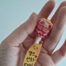 선화2로 | "해피니언 남악점" 단발의 신 선화팀장님 시술 솔직후기 (feat. 커트의신)