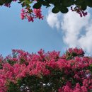 한강메디칼코리아 이미지