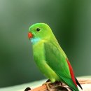 서동 동물메디컬센터 이미지