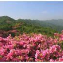 천상(3) 이미지