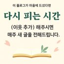 (쉽게 배우는) 시니어 스마트폰 활용법 이미지
