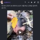 지금 전세계가 충격받은 돈 1800만 받고 러시아 공연장에서 민간인 130명 죽인 테러범 근황(조금 잔인) 이미지