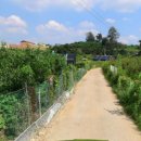 작은구월사거리 이미지