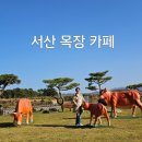 초원베이커리 이미지