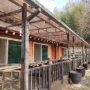 대숲속으로 이미지