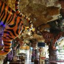 정씨푸드 이미지