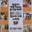 집사의하루 노원점 이미지