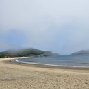 토끼섬 Daum카페