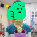 김O진 이미지