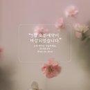 네일더빛날 이미지