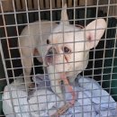 월영동213 이미지