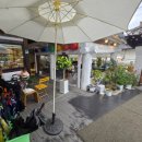 청주 상당산성 고즈넉한 분위기 카페 &#39;카페더산성(CAFE THE산성)&#39; 방문 후기