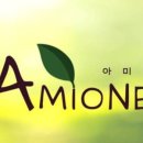 아미원