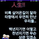 살다보면 이미지
