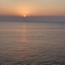 오쇼 하우스 | 서귀포 펜션 오쇼 하우스 방문 후기 힐링 최고