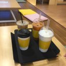 솔빈목장 이미지