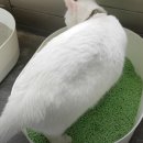 모래틈 이미지