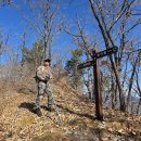 밤머리재홍단풍거리 이미지