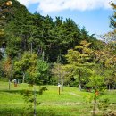 심원면자전거길2 이미지