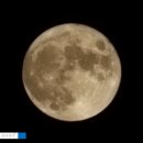&lt;일상&gt; 9월 1주차 주간일기