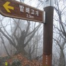 송이재봉 정상(670m) 이미지