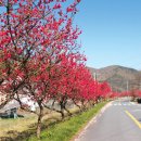 금산천길 이미지