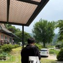 소법리푸른밤