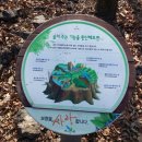 잔다리산악회 2016년12월 보령의 명산 송년산행 안내 이미지