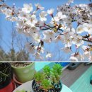 남해장애인근로센터 가온누리 이미지