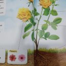 진남중학교 | 1:1 맞춤 수업이라 더욱 특별해요 진윌동영어학원 오키영어교습소