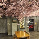 앤유PC방 이미지