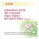 주님과함께 Daum카페