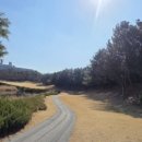 강동로-19 이미지