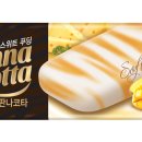 코타 이미지