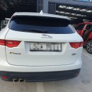 참피온모터스 이미지