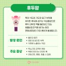 다나은요양병원 이미지