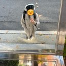 2024년 11월 89회 AFPK 시험 합격 후기! 유진쓰 합격자 상위권 5위 안에 들다! AFPK 공부 방법 꿀팁