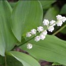 아는가게 이미지