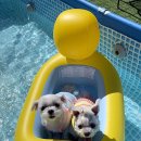 가평더뮤즈펜션 이미지