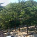 목욕농장 이미지