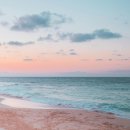 일주농장 | 오아후 프라이빗 섬 일주 &amp; 공항 픽업 샌딩 후기: 우리만을 위한 특별한 하루!