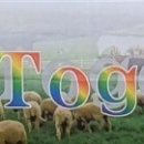 관-비-4-5호 이미지