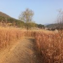 소리질러