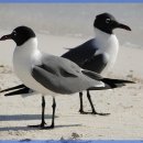 진상의원 이미지