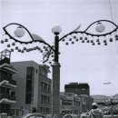 담양 반딧불 이미지