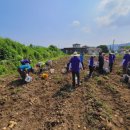 삼죽면사무소 이미지