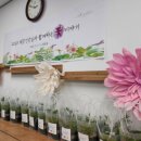 홍천 남산유치원 이미지